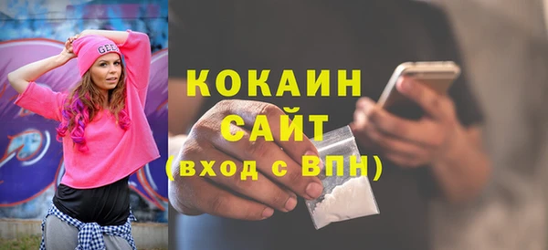 шишки Заволжье