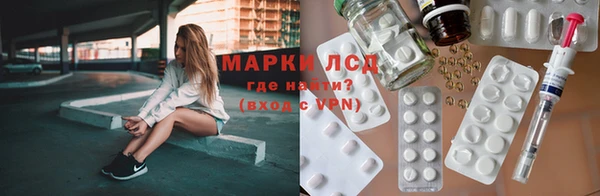 прущие грибы Новокубанск