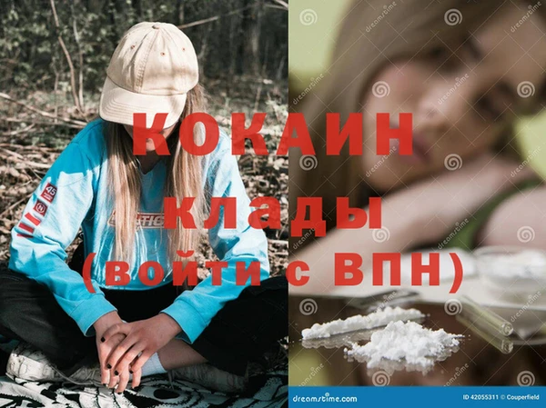 прущие грибы Новокубанск