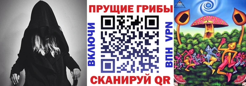 Псилоцибиновые грибы Cubensis  Белёв 